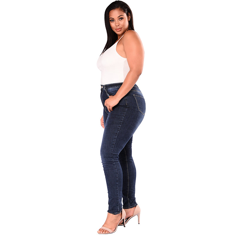 High Waist Skinny Jeans - Plus Size