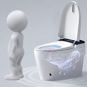 ST-GP-01 Portable Smart Toilet with Remote