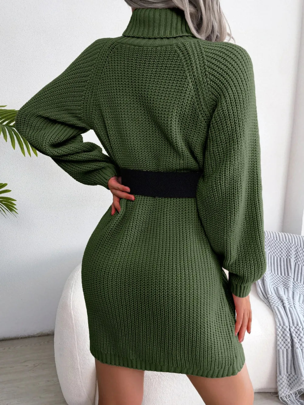 Turtleneck Long Sleeve Sweater Dress