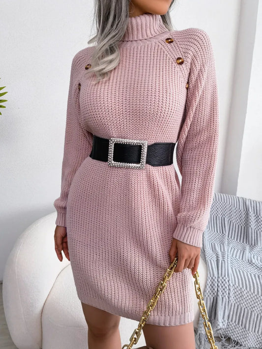 Turtleneck Long Sleeve Sweater Dress
