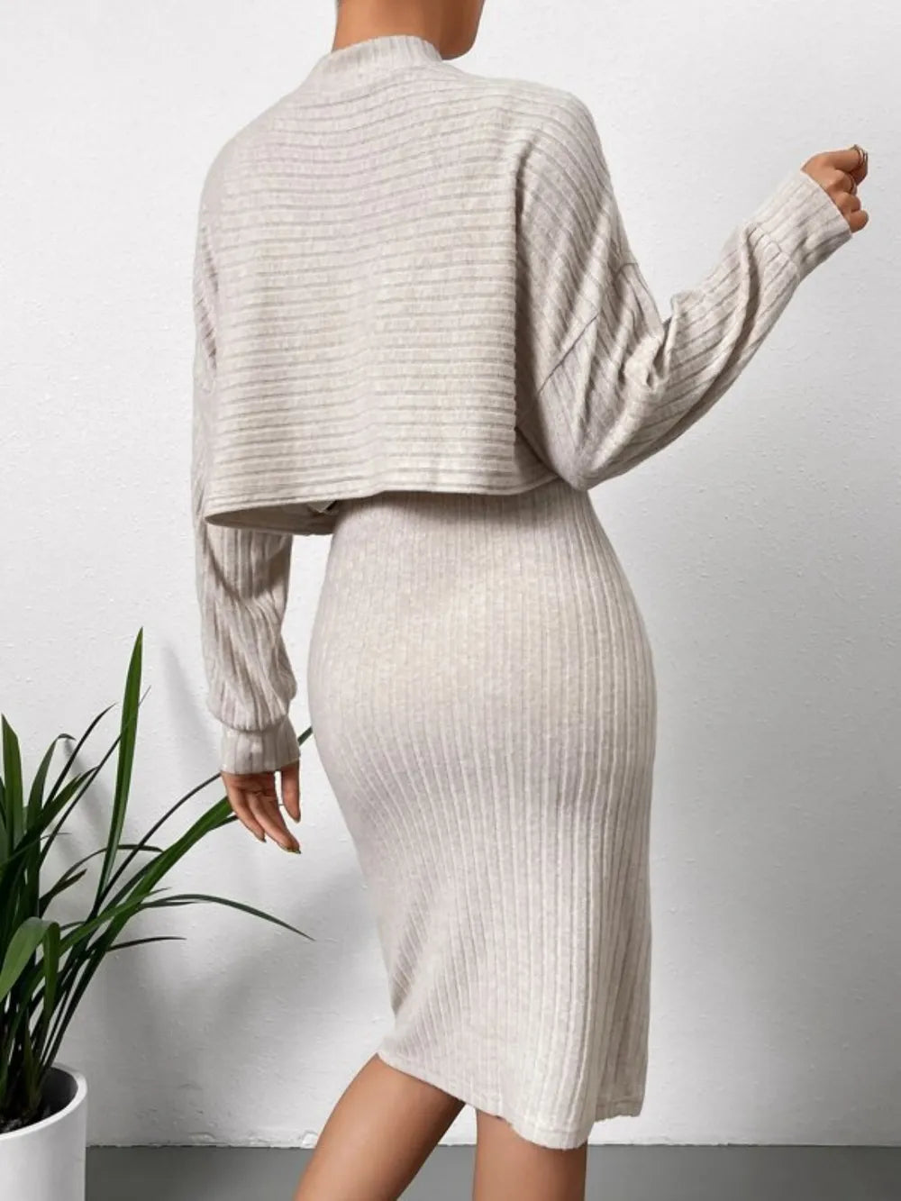 Long Sleeve Top and Wide Strap Dress