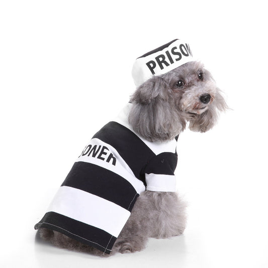 Dog Halloween Funny Costumes