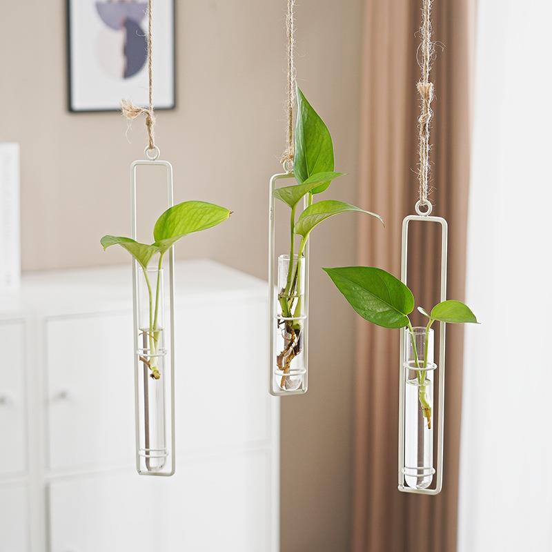 Scandinavian-Style Hanging Glass Hydroponic Vase