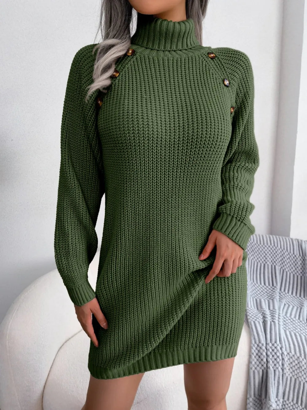 Turtleneck Long Sleeve Sweater Dress