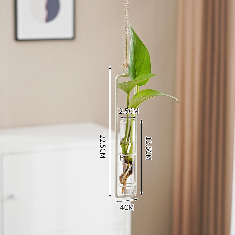 Scandinavian-Style Hanging Glass Hydroponic Vase