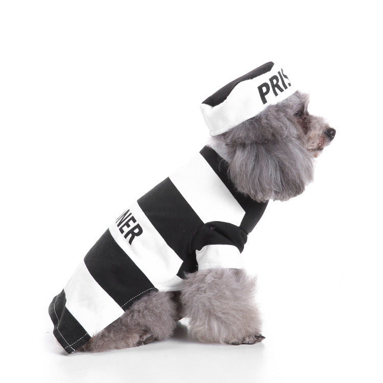Dog Halloween Funny Costumes
