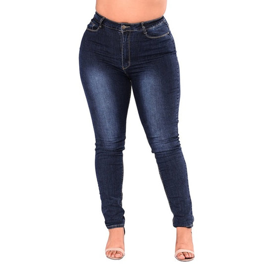 High Waist  Skinny Jeans - Plus Size
