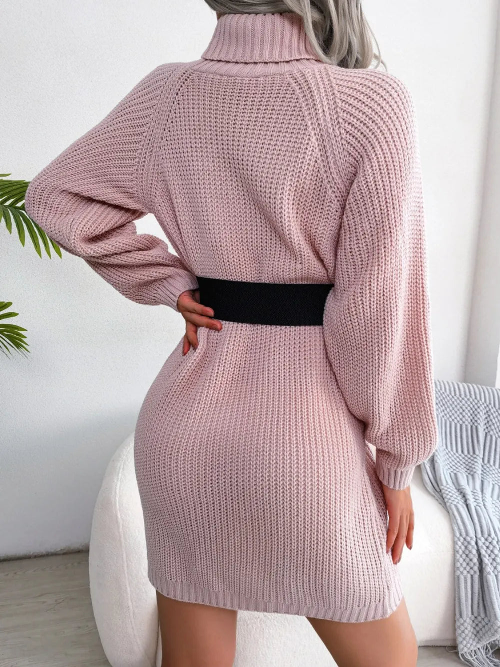 Turtleneck Long Sleeve Sweater Dress