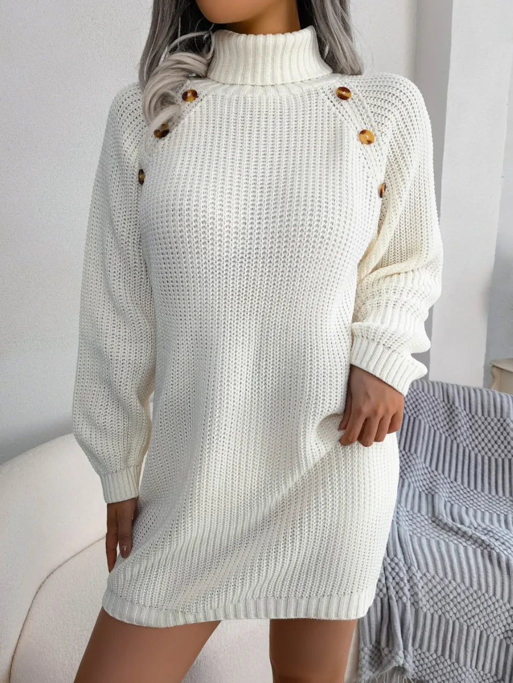 Turtleneck Long Sleeve Sweater Dress