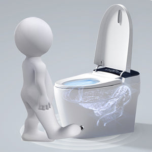 ST-GP-01 Portable Smart Toilet with Remote