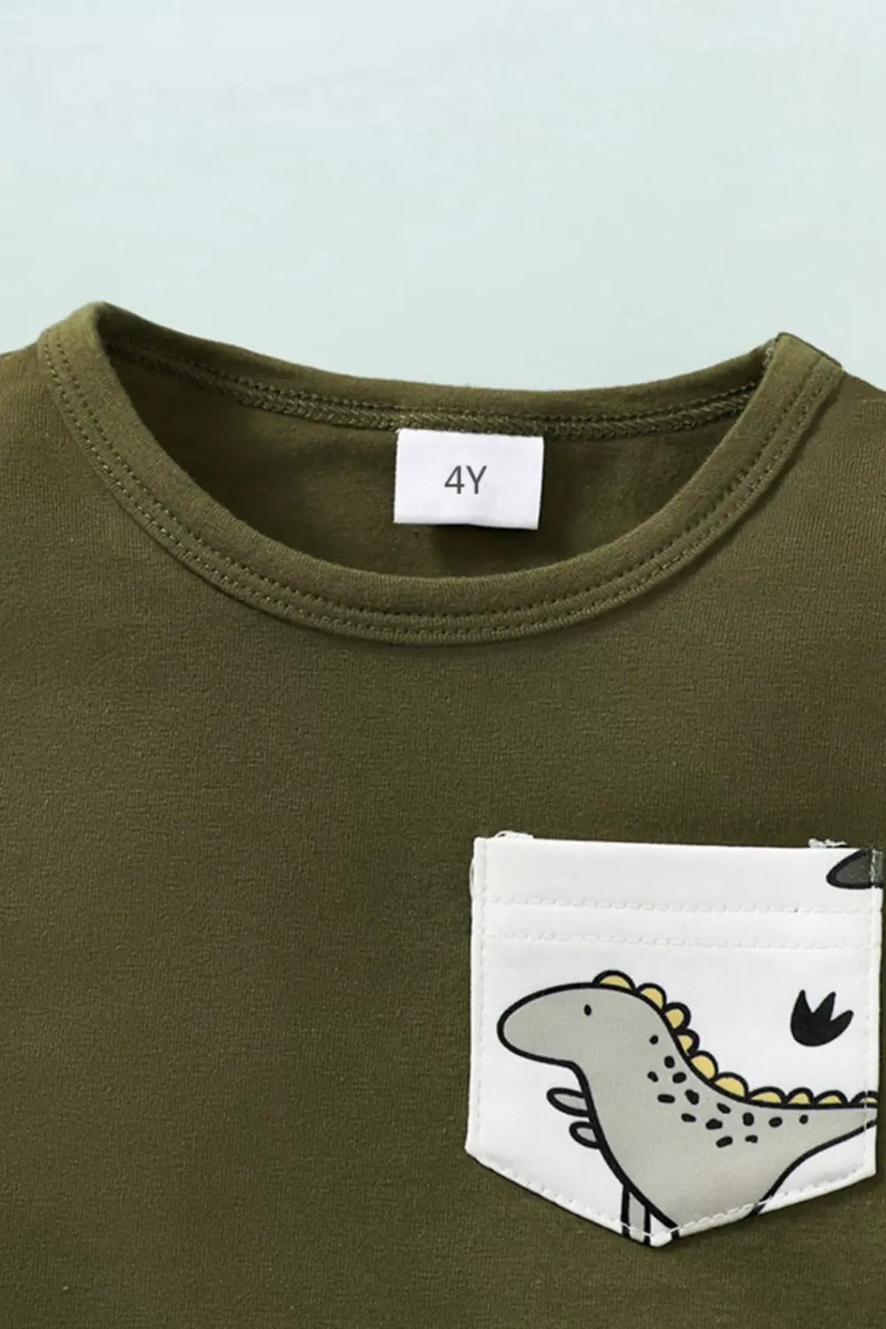 Round Neck Long Sleeve Top and Printed Pants Set