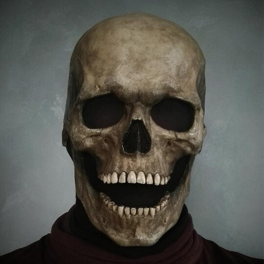 Skull Movable Mouth Halloween Head Cover Mask