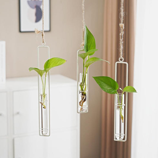 Scandinavian-Style Hanging Glass Hydroponic Vase