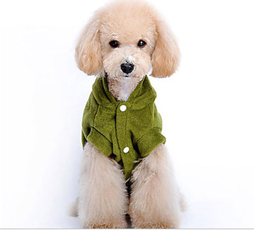 Dinosaur Shaped Dog Halloween Costume