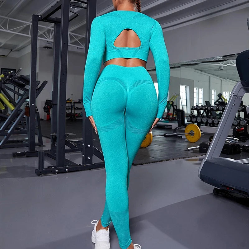 Seamless Wear Back Hollow Long Sleeve Sports Yoga 2 PCS Set