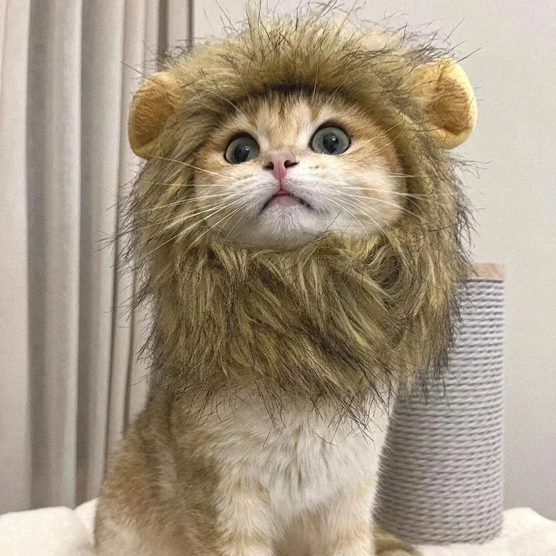 Cute Lion Mane Cat Wig Hat Cosplay Halloween Costume