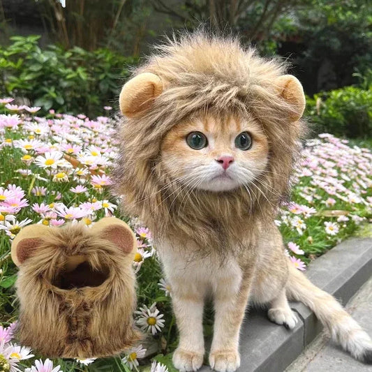 Cute Lion Mane Cat Wig Hat Cosplay Halloween Costume